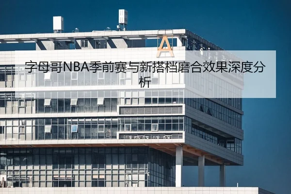 字母哥NBA季前赛与新搭档磨合效果深度分析